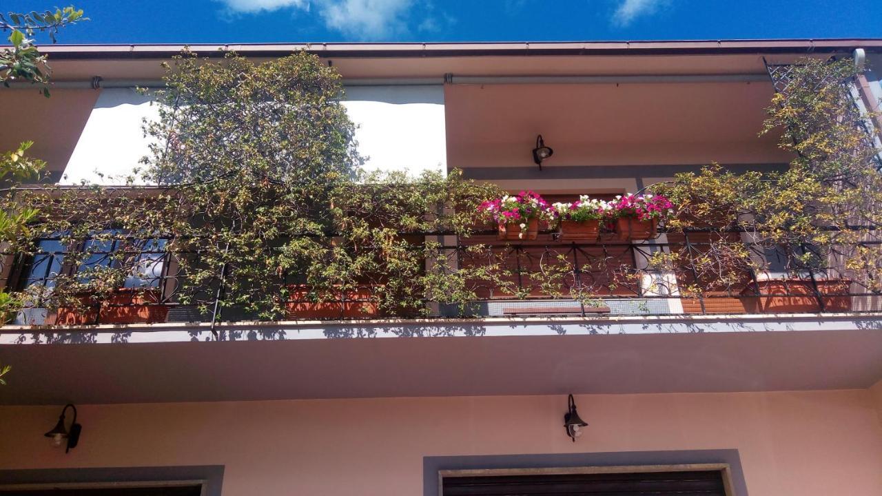 Evergreen Terrace- Stile E Confort Soriano nel Cimino Exterior foto